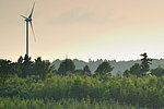 Effizienter Ausbau erneuerbarer Energien: Rheinland-Pfalz zentralisiert Genehmigungsverfahren für Windkraft