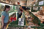 Internationaler Museumstag: Lahnsteins Museen wieder in voller Blüte