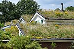 Förderprogramm "Dach- und Fassadenbegrünung" im Landkreis Mayen-Koblenz unterstützt den Klimaschutz
