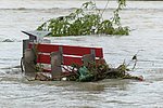 Hochwasser in Deutschland: Wichtige Hinweise für Betroffene
