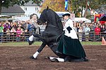 Lukasmarkt in Mayen: Wo Pferde und Schafe die Stars sind