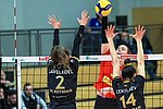 1. Volleyball-Bundesliga: Für Neuwied geht es gegen Dresden um die Wurst