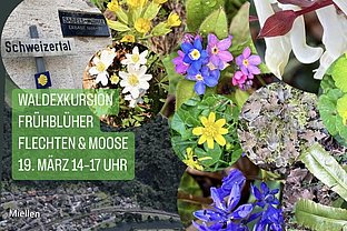 Das Schweizertal ist Teil des Europäischen Natura-2000-FFH-Schutzgebietes 5613-301 Lahnhänge und des Naturparks Nassau. 