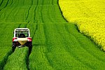 Symbolbild Landwirtschaft