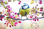 „Die Vier Jahreszeiten – Frühling“ Lesung in der Stadtbibliothek Neuwied