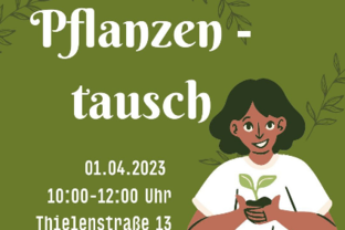 Über übriggebliebene Pflanzen freut sich das Team des Gartenprojektes des Mehrgenerationenhaus.