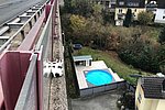 Katze aus 30 Meter Höhe in Rhens gerettet