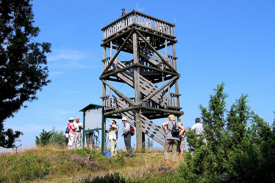 Geführte Wanderung durch die Wacholderheide am 9. Juli