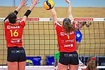 1. Volleyball-Bundesliga: Emotionale Abschiedsshow: Neuwied unterliegt trotz kämpferischem Einsatz Wiesbaden 