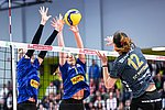 Potsdam boten Deichstadtvolleys ein gutes vorletztes Heimspiel