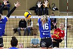 Deichstadtvolleys: Hartes Spiel gegen den Dresdner SC