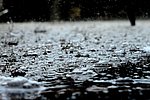 Wetteraussichten für Fastnacht in Rheinland-Pfalz: Regen und Wind erwartet