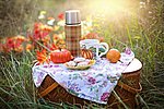 Symbolbild Picknick