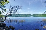Behörde kontrolliert Einhaltung des Naturschutzes am Laacher See
