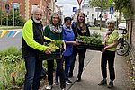 Neuwieder Projekt gewoNR fördert Nachhaltigkeit mit bienenfreundlichen Stauden