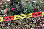 Symbolbild Eichenprozessionsspinner