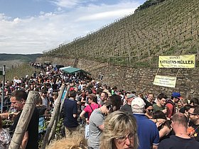 Am kommenden Sonntag ist endlich wieder Mittelrheinischer Weinfrühling im Bopparder Hamm. 