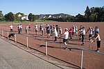 Nordic Walking: Kostenloser Schnuppertag mit der LG Laacher See