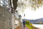 Zwei Millionen Euro Förderung: Radrouten am Rhein sollen verbessert werden
