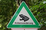 Symbolbild Krötenwanderung