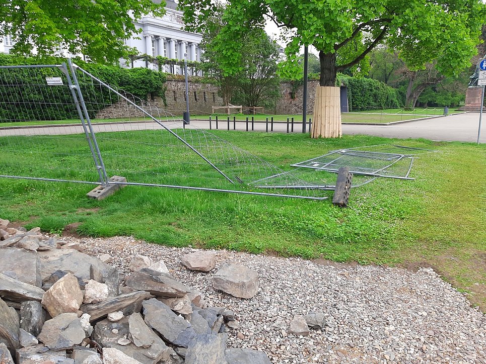 Seit ein paar Wochen kann man einen Teilabschnitt der Rheinanlagen nicht mehr begehen, da dort die Bauarbeiten für die neue Pfaffendorfer Brücke angefangen haben. 