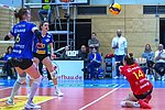 1. Volleyball-Bundesliga: Deichstadtvolleys verpassen Punktgewinn gegen Dresden