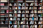 Welttag des Buches am 23. April: Stadtbibliothek Neuwied ist dabei