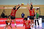 Deichstadtvolleys: Erster Bundesligasieg - 3:1 gegen Thüringen Suhl