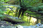 Traumschleife Ehrbachklamm