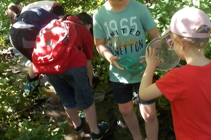 Vulkanparkführer bietet besonderes Naturerlebnis am 11. Juni: Bachforschung für Kinder in Schalkenbach