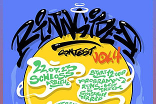 Am kommenden Samstag startet ab 12 Uhr im Buga-Park vor dem Koblenzer Schloss der jährliche Skatecontest "Rinnsider". 