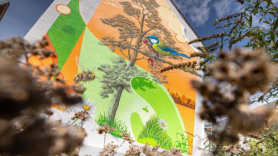 Projekt Urbane Kunst: Hausfassade in Koblenz-Metternich wird bunt