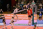 Am Samstag werden die Deichstadtvolleys in Wiesbaden gastieren