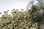 Saatgutbibliothek: Wie erfolgreich waren Koblenz' Hobbygärtner?