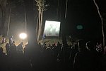 Batnight im Mayener Grubenfeld am 26. August: Programmübersicht