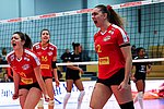 1. Volleyball-Bundesliga: Deichstadtvolleys treffen auf Rote Raben Vilsbiburg