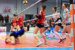 1. Volleyball-Bundesliga: Deichstadtvolleys überzeugen kämpferisch gegen Favoriten aus Stuttgart
