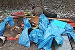 Dreck-weg-Tag 2023: Koblenzer machen sauber