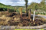 Feuer zerstört 600qm Weinberg in Dernau: Polizei sucht Zeugen