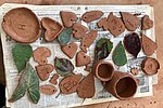 Keramik-Workshop Boppard-Brasilien