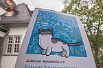 Neue Katzenschutzverordnung in Koblenz: Worauf sich Besitzer einstellen müssen