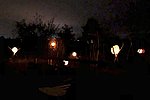 Lichter im Dunkel des Waldes