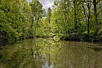 Symbolbild: Waldsee