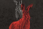 White Rabbit, Red Rabbit": Ein einzigartiges Theaterexperiment auf den Burgfestspielen