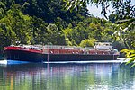 MS experimenta macht in Lahnstein Halt: Eine interaktive Reise durch die Wissenschaft