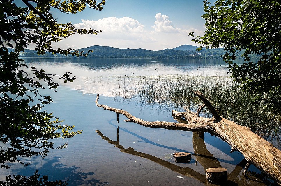 Laacher See