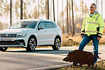 Wildunfall ADAC Mittelrhein