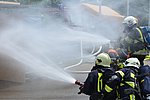 Zimmerbrand in Koblenz: Löscheinsatz an Mehrfamilienhaus in der Hohenfelder Straße