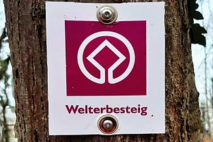 Die Abfahrt für die Wanderung ist um 9:30 Uhr am Hauptbahnhof Koblenz. 