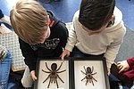 Exotischer Besuch in der Goetheschule Lahnstein
